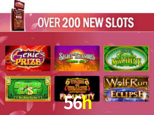 Premium Interface 56h